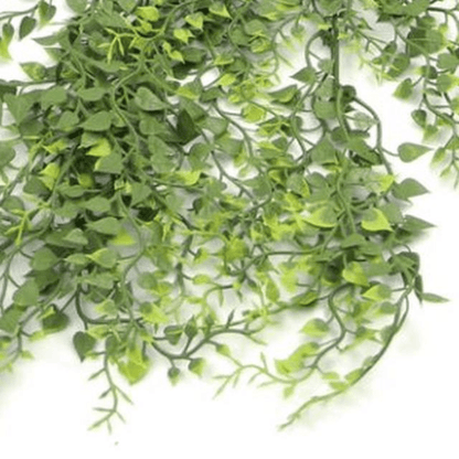 Elegant 82cm UV & Fire Resistant Hanging Button Fern - No Maintenance Greenery! - plants - express.com