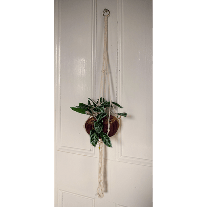 Elegant 85cm Hanging Artificial Pothos Plant with Chic Ceramic Planter - plants - express.com