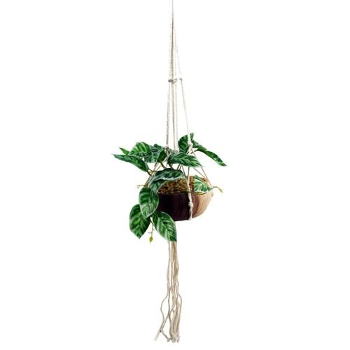 Elegant 85cm Hanging Pothos Plant with Decorative Ceramic Planter - plants - express.com