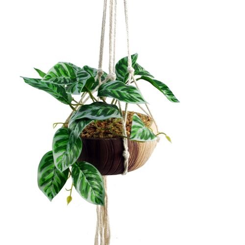 Elegant 85cm Hanging Pothos Plant with Decorative Ceramic Planter - plants - express.com