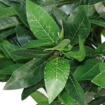 Elegant 90cm Artificial Bay Laurel Topiary Ball Trees - Perfect Home Accent! - plants - express.com