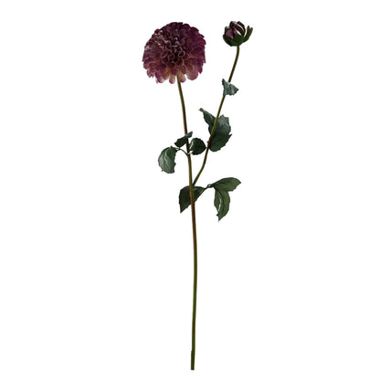 Elegant 90cm Pink Peony & Dahlia Arrangement with Stylish Glass Vase - plants - express.com