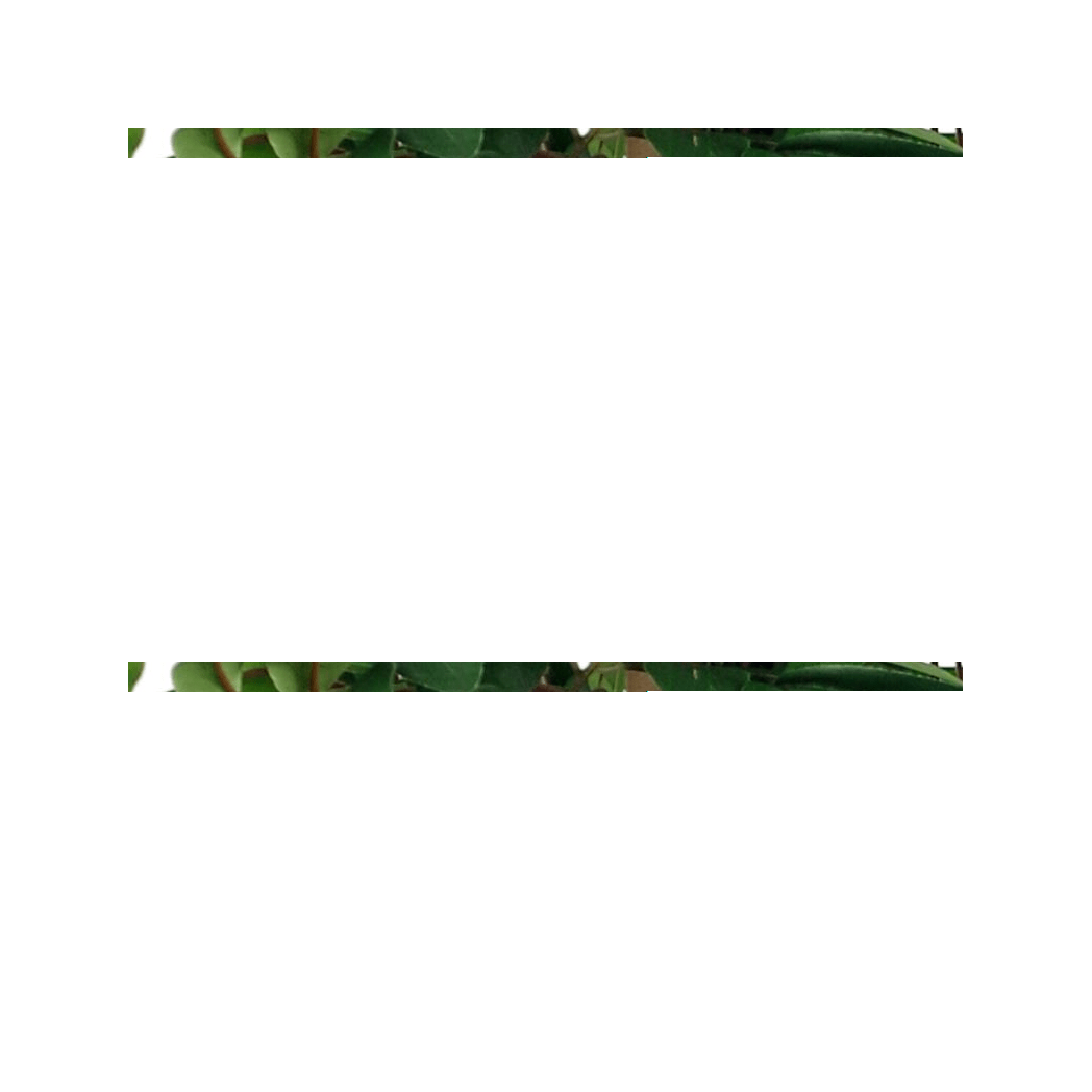 Elegant 90cm Smilax Sarsaparilla Artificial Ficus Tree - Premium Luxury Décor - plants - express.com