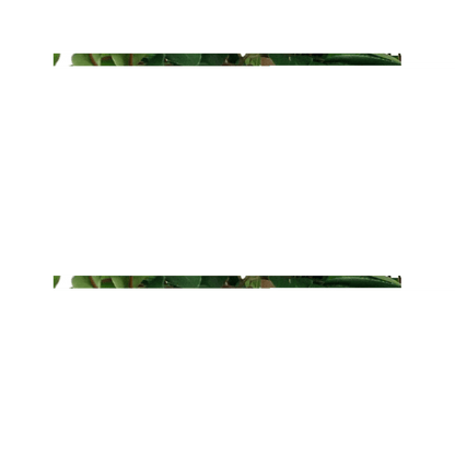 Elegant 90cm Smilax Sarsaparilla Artificial Ficus Tree - Premium Luxury Décor - plants - express.com
