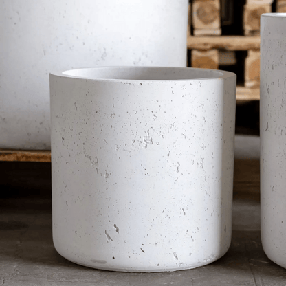 Elegant Aurella White Mist – 55cm Extra Large Concrete Cylinder Planter - plants - express.com