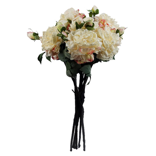 Elegant Cream Peony Stems - Set of 6 with 18 Buds for Stunning Arrangements - plants - express.com