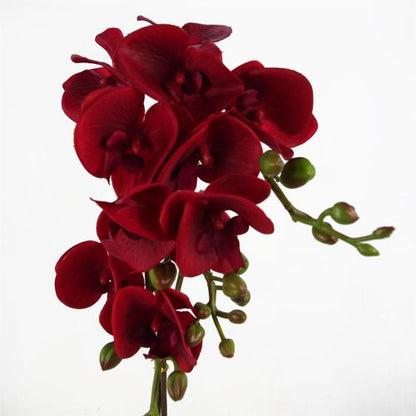 Elegant Dark Red Artificial Phalaenopsis Orchid in Gold Honeycomb Pot - 50cm - plants - express.com