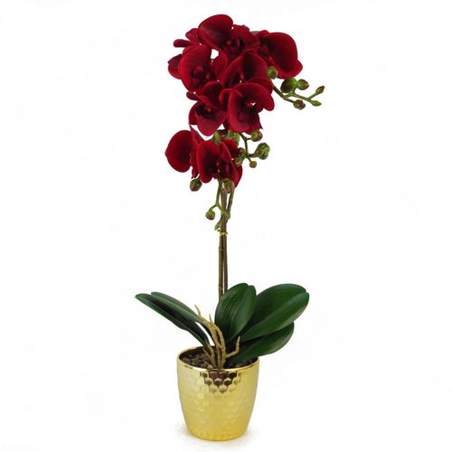 Elegant Dark Red Artificial Phalaenopsis Orchid in Gold Honeycomb Pot - 50cm - plants - express.com