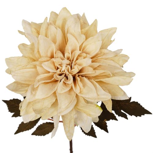 Elegant Dusty Cream Dahlia Flower Stems - Set of 6, 55cm Realistic Decor - plants - express.com