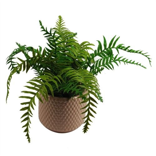 Elegant Dusty Pink Ceramic Plant Pot with Raised Dots - 15cm x 12.5cm - plants - express.com