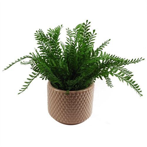 Elegant Dusty Pink Ceramic Plant Pot with Raised Dots - 15cm x 12.5cm - plants - express.com