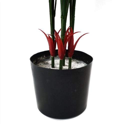 Elegant Green Dracaena in 20cm Ceramic Planter - Indoor/Outdoor Decor - plants - express.com