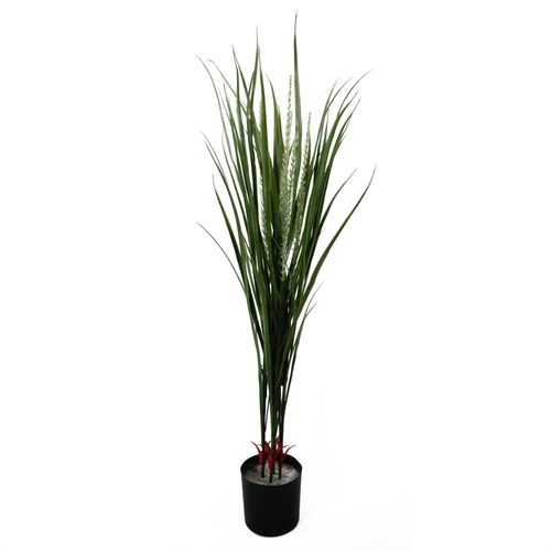 Elegant Green Dracaena in 20cm Ceramic Planter - Indoor/Outdoor Decor - plants - express.com