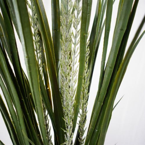 Elegant Green Dracaena in 20cm Ceramic Planter - Indoor/Outdoor Decor - plants - express.com