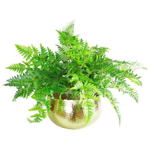 Elegant Hammered Gold XL Metal Bowl Planter - Curvy Edge, 32x20cm - plants - express.com