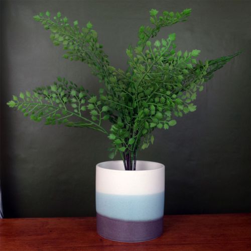 Elegant Leaf Design Ceramic Planters for Stylish Indoor Decor - UK Limited - plants - express.com