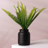 14cm Black