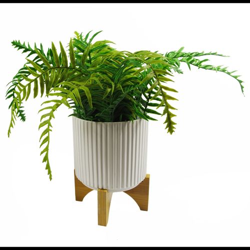 Elegant Leaf Design Ceramic Planters for Stylish Indoor Decor - UK Limited - plants - express.com