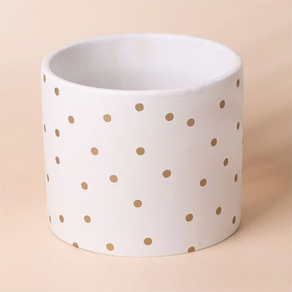 Elegant Leaf Design Ceramic Planters for Stylish Indoor Decor - UK Limited - plants - express.com