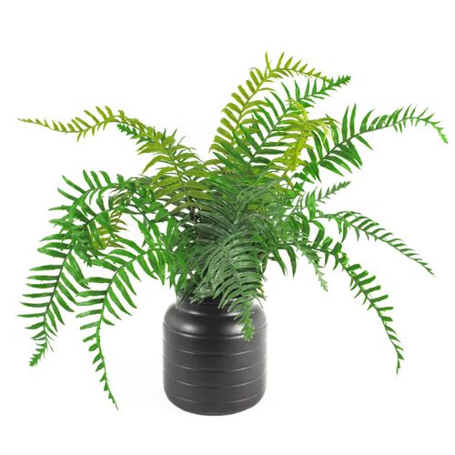 Elegant Leaf Design Ceramic Planters for Stylish Indoor Decor - UK Limited - plants - express.com