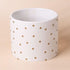 15cm Gold Dot