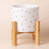 23.5cm Gold Dot with Stand
