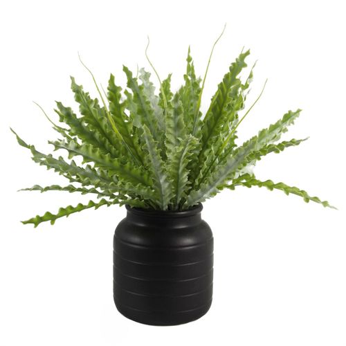 Elegant Leaf Design Ceramic Planters for Stylish Indoor Decor - UK Limited - plants - express.com