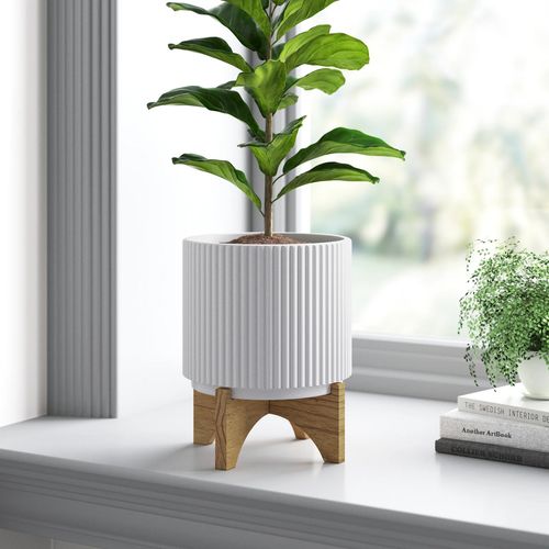 Elegant Leaf Design Ceramic Planters for Stylish Indoor Decor - UK Limited - plants - express.com