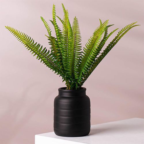 Elegant Leaf Design Ceramic Planters for Stylish Indoor Decor - UK Limited - plants - express.com