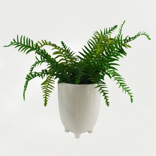 Elegant Leaf Design Ceramic Planters for Stylish Indoor Decor - UK Limited - plants - express.com