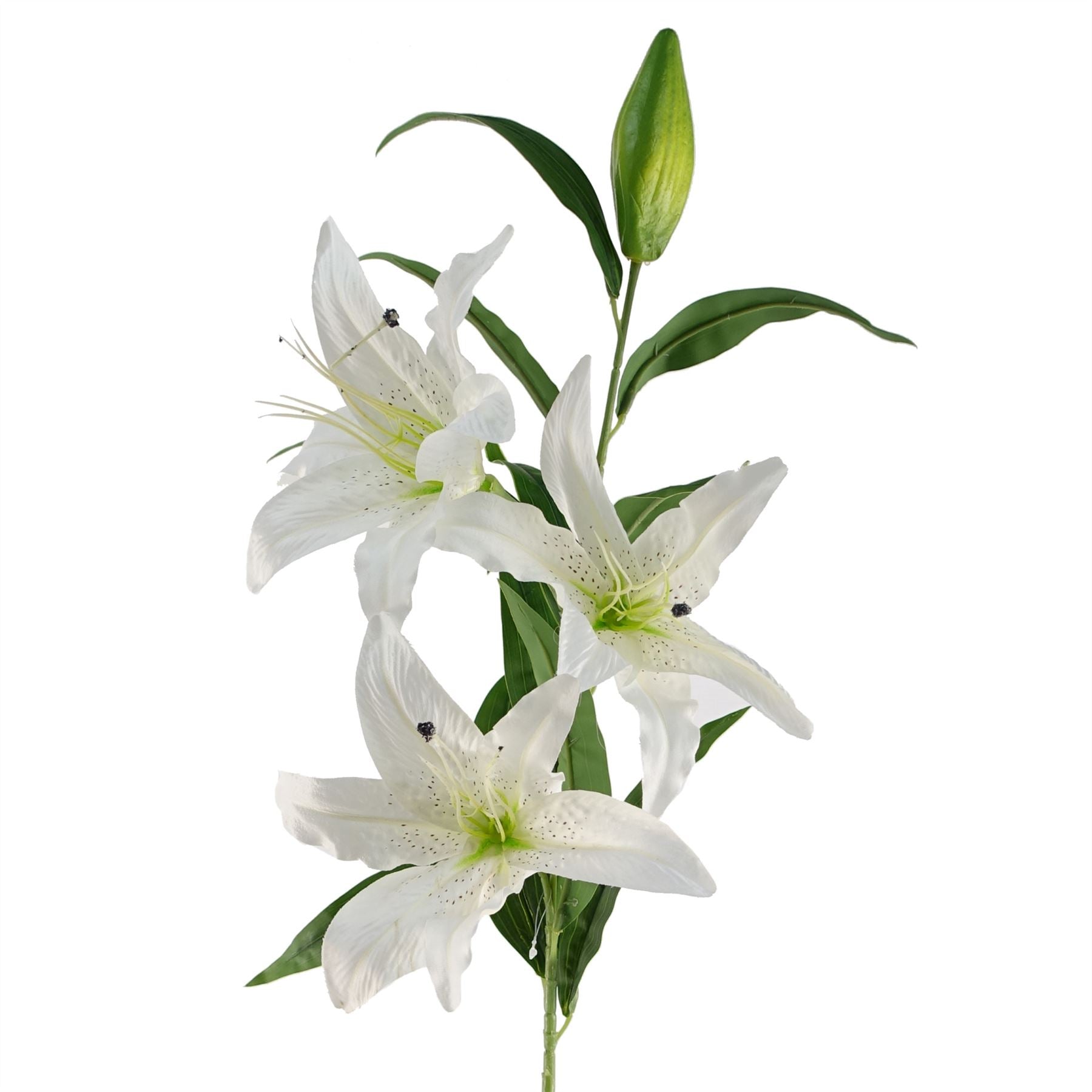 Elegant Pack of 6 Large White Lily Stems - Perfect for Stunning Floral Arrangements - plants - express.com