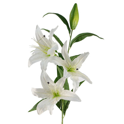 Elegant Pack of 6 Large White Lily Stems - Perfect for Stunning Floral Arrangements - plants - express.com
