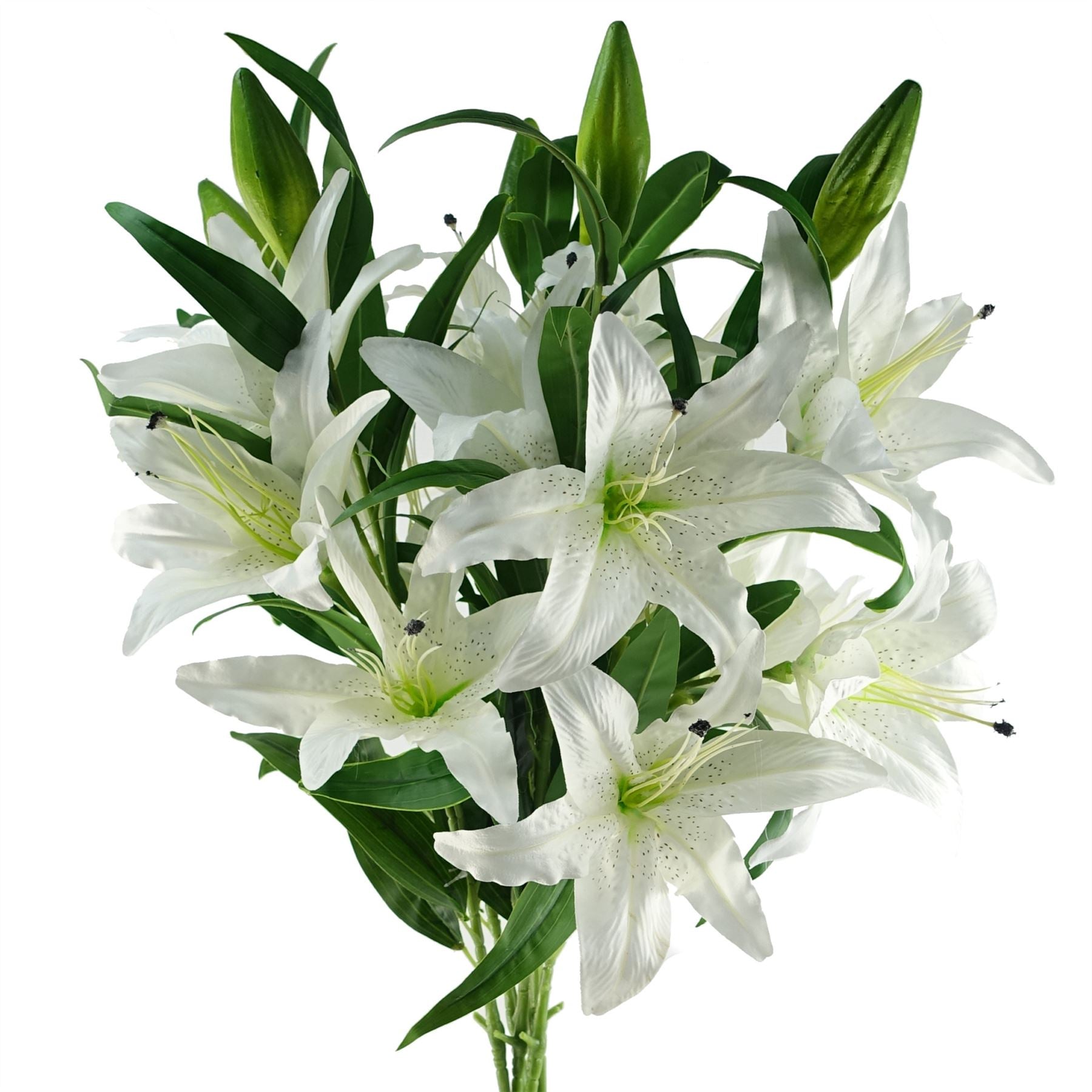 Elegant Pack of 6 Large White Lily Stems - Perfect for Stunning Floral Arrangements - plants - express.com