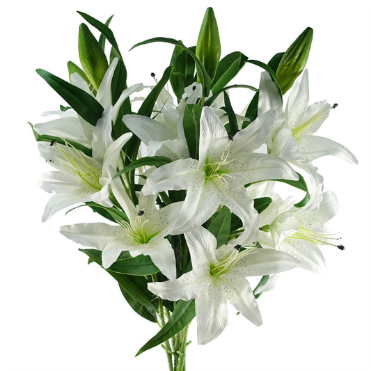 Elegant Pack of 6 Large White Lily Stems - Perfect for Stunning Floral Arrangements - plants - express.com