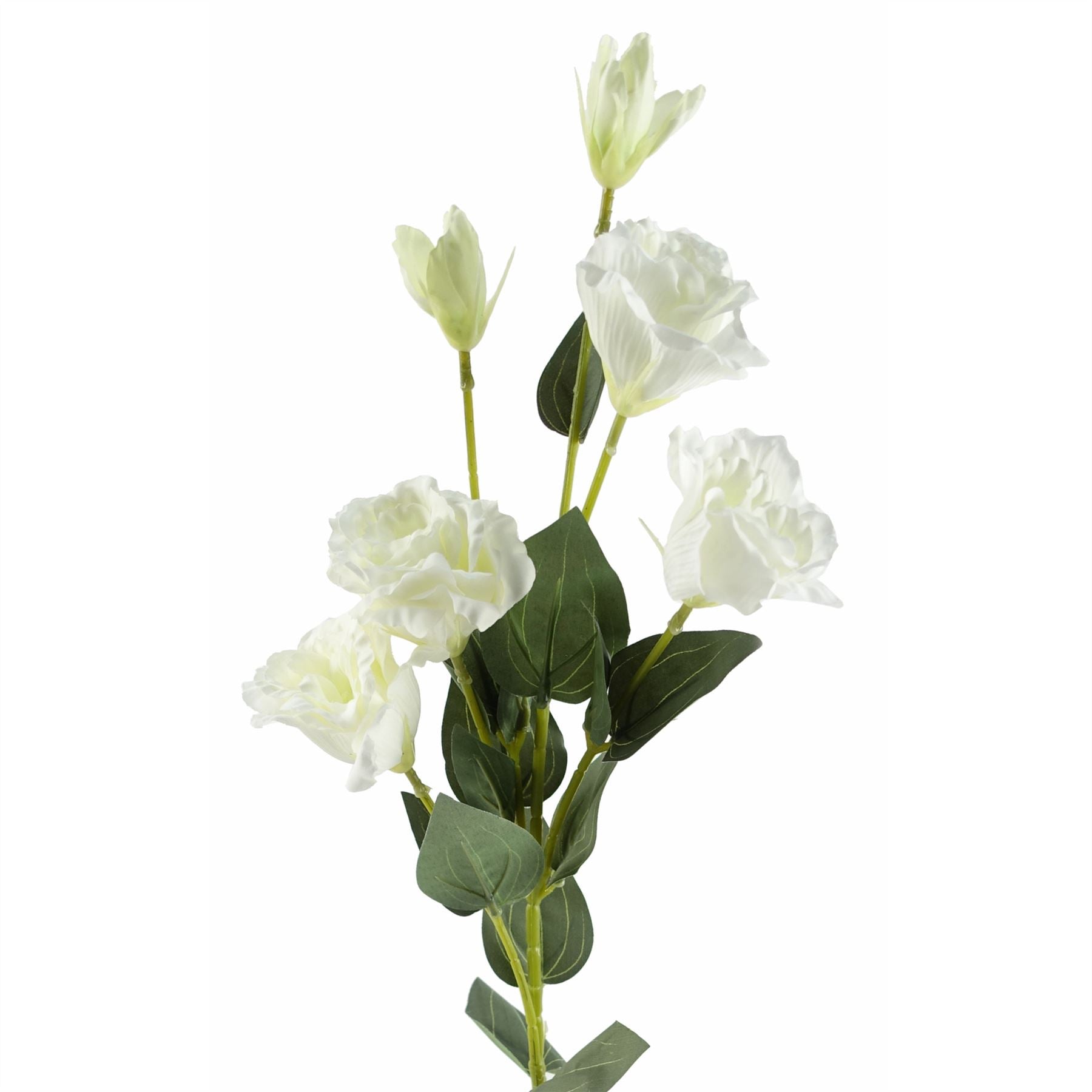 Elegant Pack of 6 White Wild Rose Stems - Perfect for Stunning Arrangements! - plants - express.com