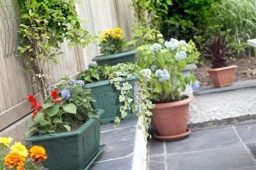 Elegant Terracotta 38cm Square Venetian Planter - Perfect for Any Space - plants - express.com