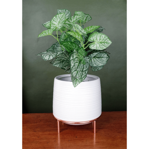 Elegant White Ceramic Planter with Stylish Metal Stand – Perfect for Any Space! - plants - express.com