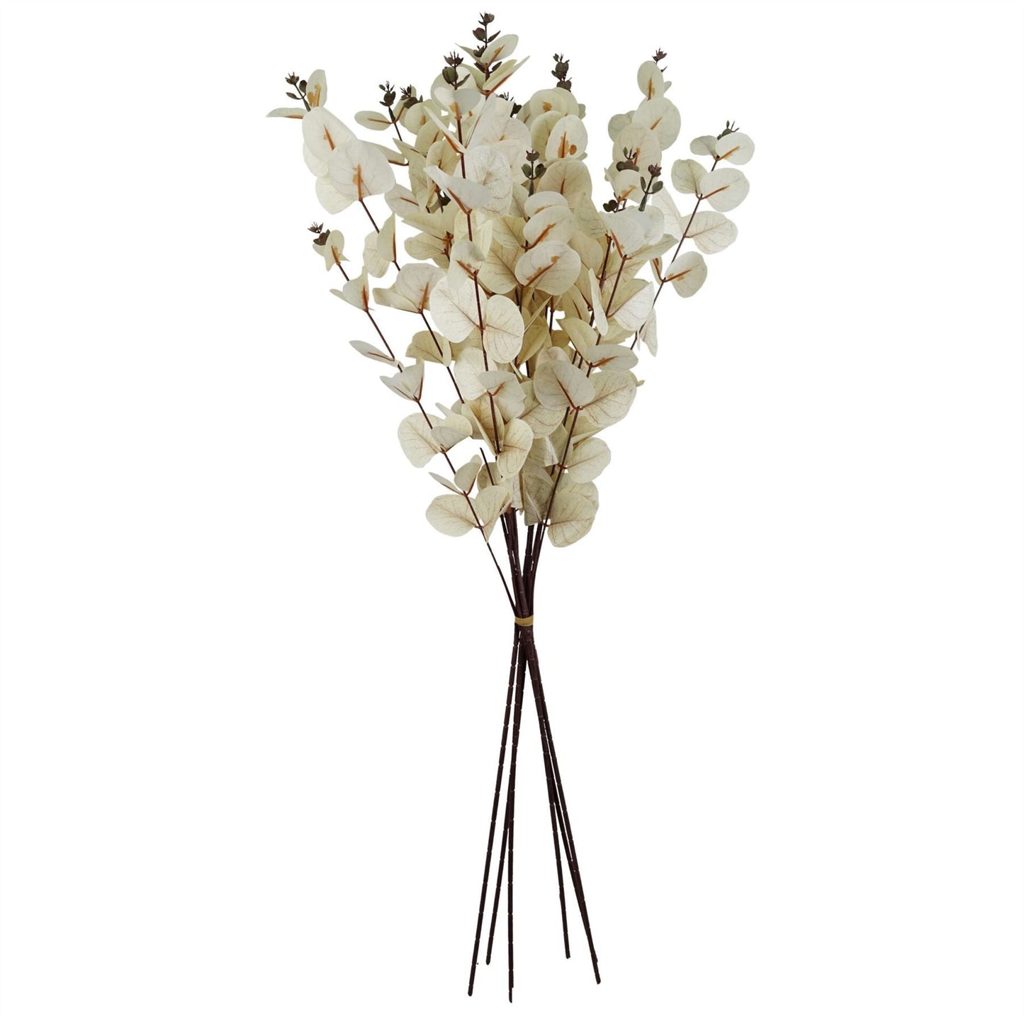 Elegant White Eucalyptus Foliage Stems - Pack of 6, 80cm Each - plants - express.com