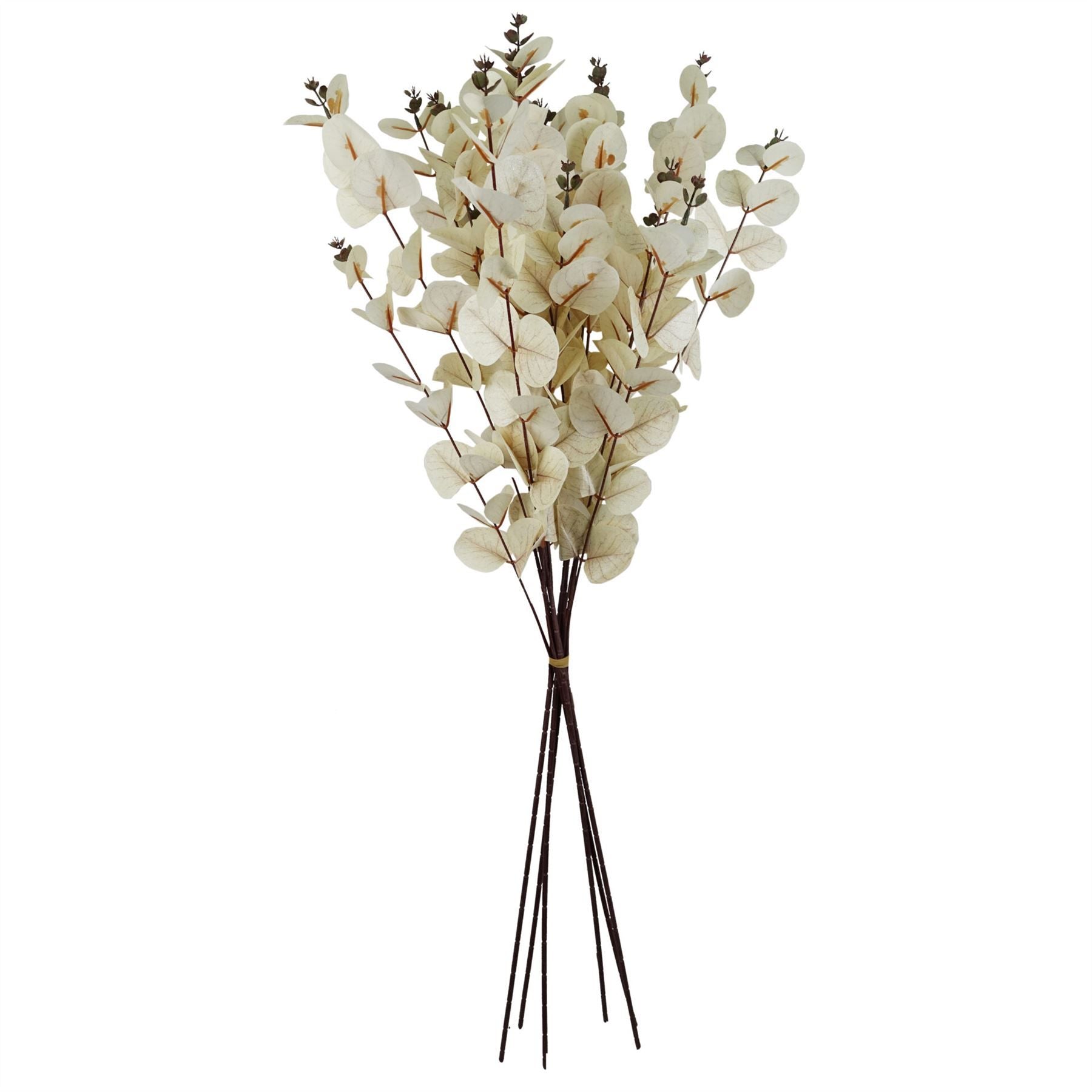 Elegant White Eucalyptus Foliage Stems - Pack of 6, 80cm Each - plants - express.com
