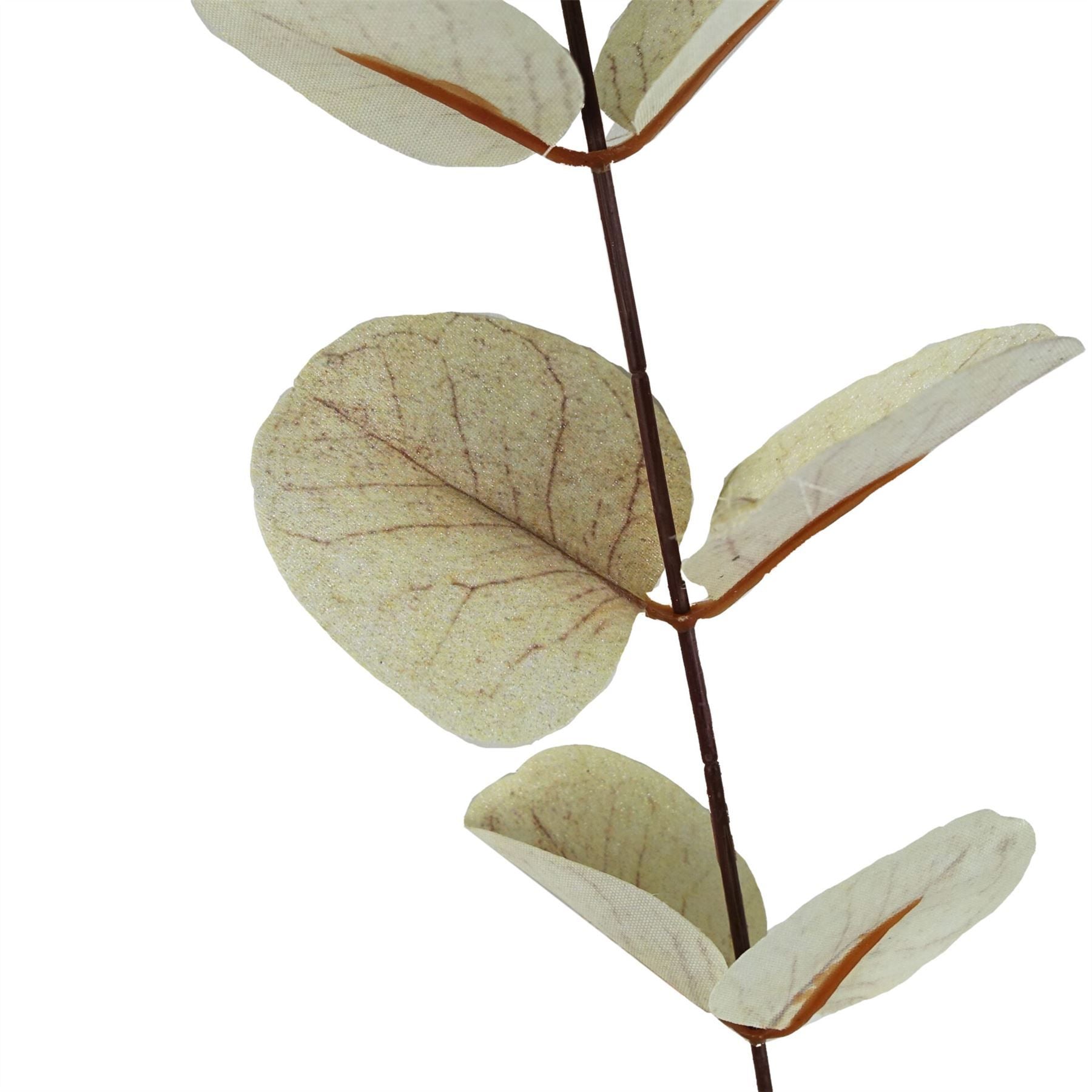 Elegant White Eucalyptus Foliage Stems - Pack of 6, 80cm Each - plants - express.com