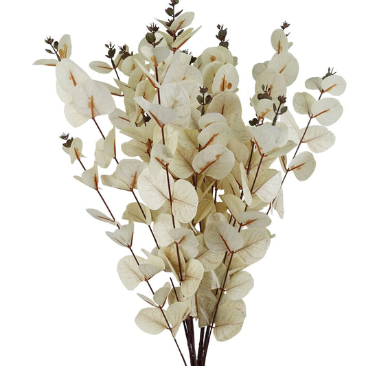 Elegant White Eucalyptus Foliage Stems - Pack of 6, 80cm Each - plants - express.com