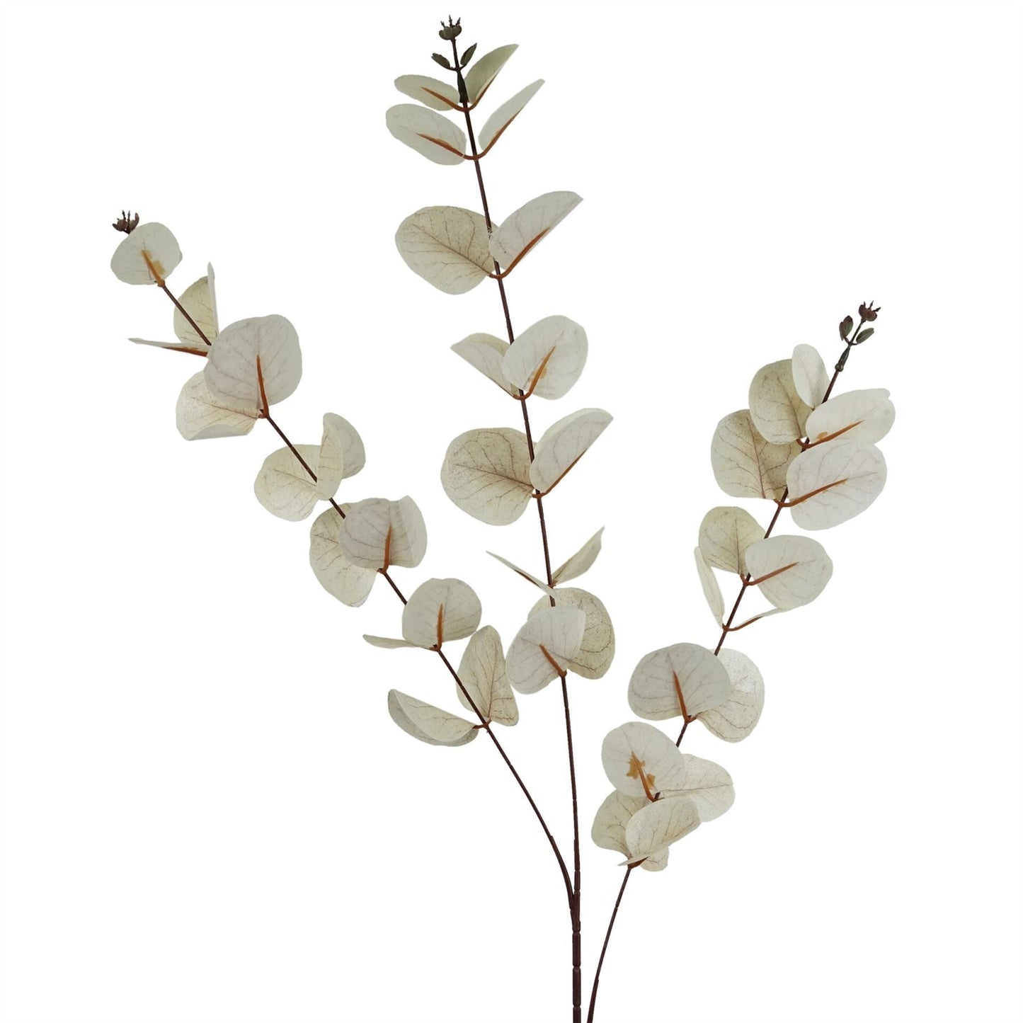 Elegant White Eucalyptus Foliage Stems - Pack of 6, 80cm Each - plants - express.com