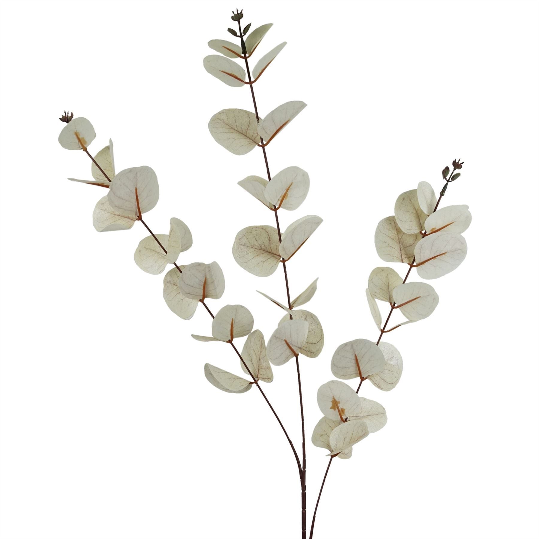 Elegant White Eucalyptus Foliage Stems - Pack of 6, 80cm Each - plants - express.com
