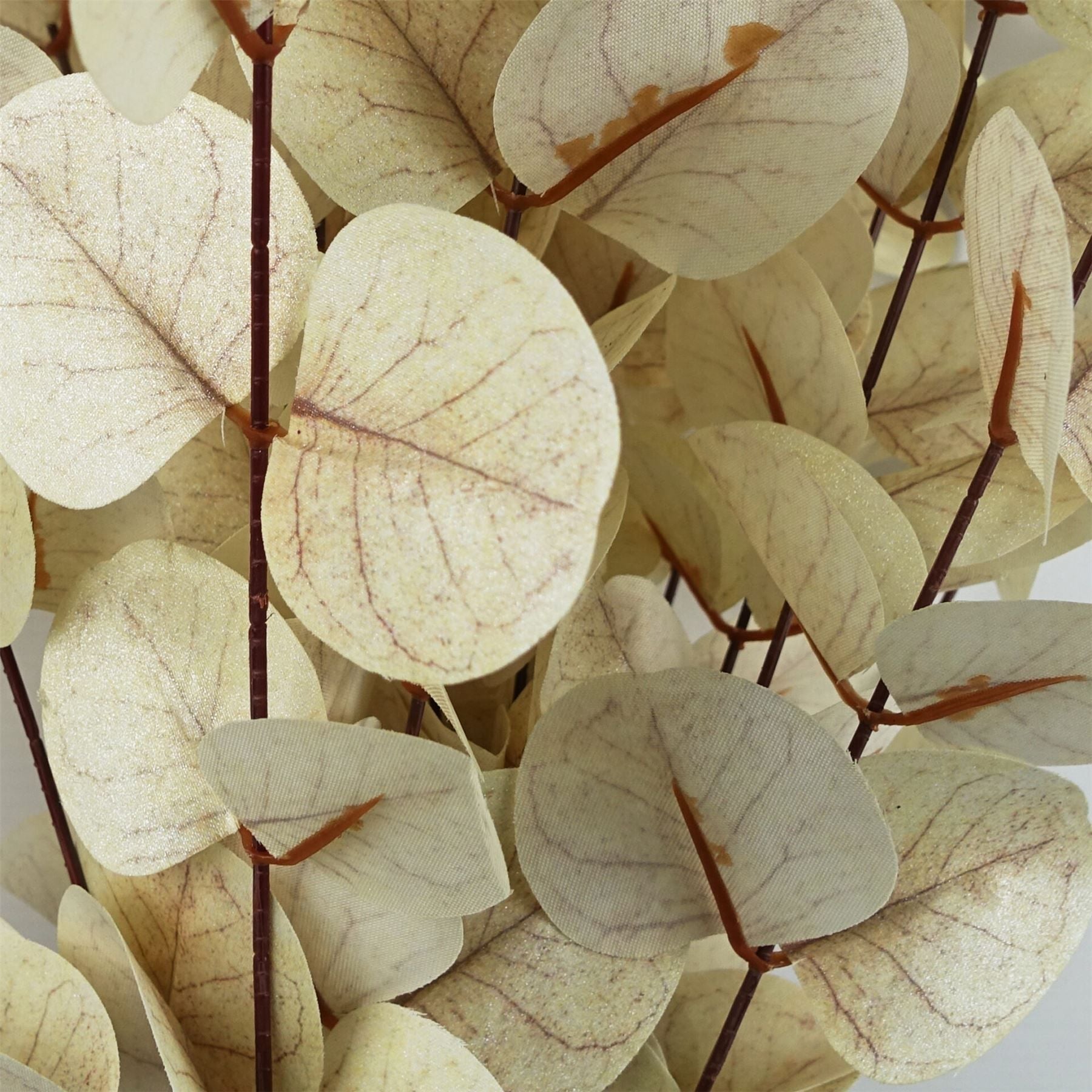 Elegant White Eucalyptus Foliage Stems - Pack of 6, 80cm Each - plants - express.com