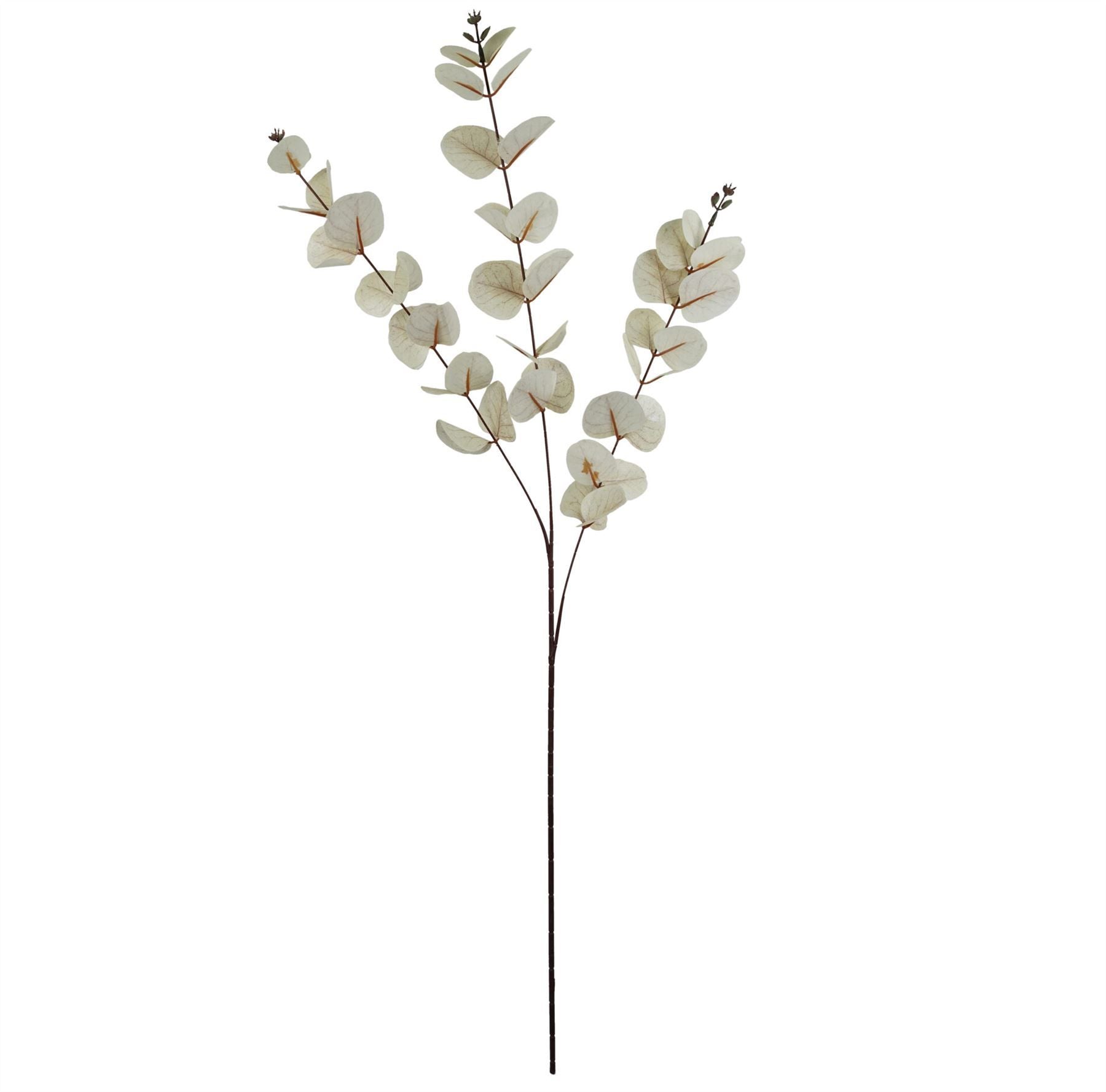 Elegant White Eucalyptus Foliage Stems - Pack of 6, 80cm Each - plants - express.com