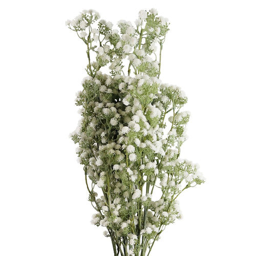 Elegant White Gypsophila Stems - Set of 6 - Ideal for Floral Arrangements - plants - express.com