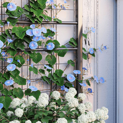 Elevate Your Garden: Durable Raised Bed with Trellis for Climbing Plants - plants - express.com