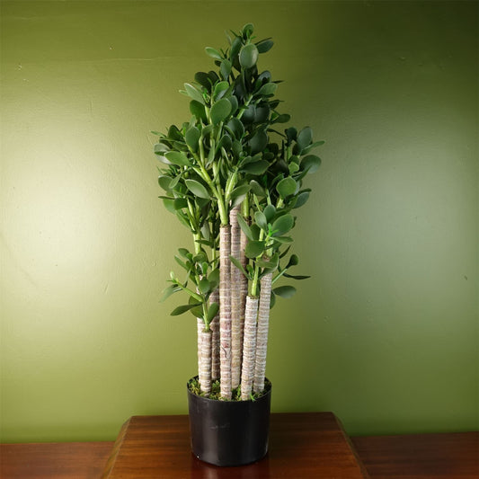 Elevate Your Space: 75cm Luxe Artificial Green Jade Plant Décor - plants - express.com
