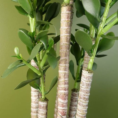 Elevate Your Space: 75cm Luxe Artificial Green Jade Plant Décor - plants - express.com