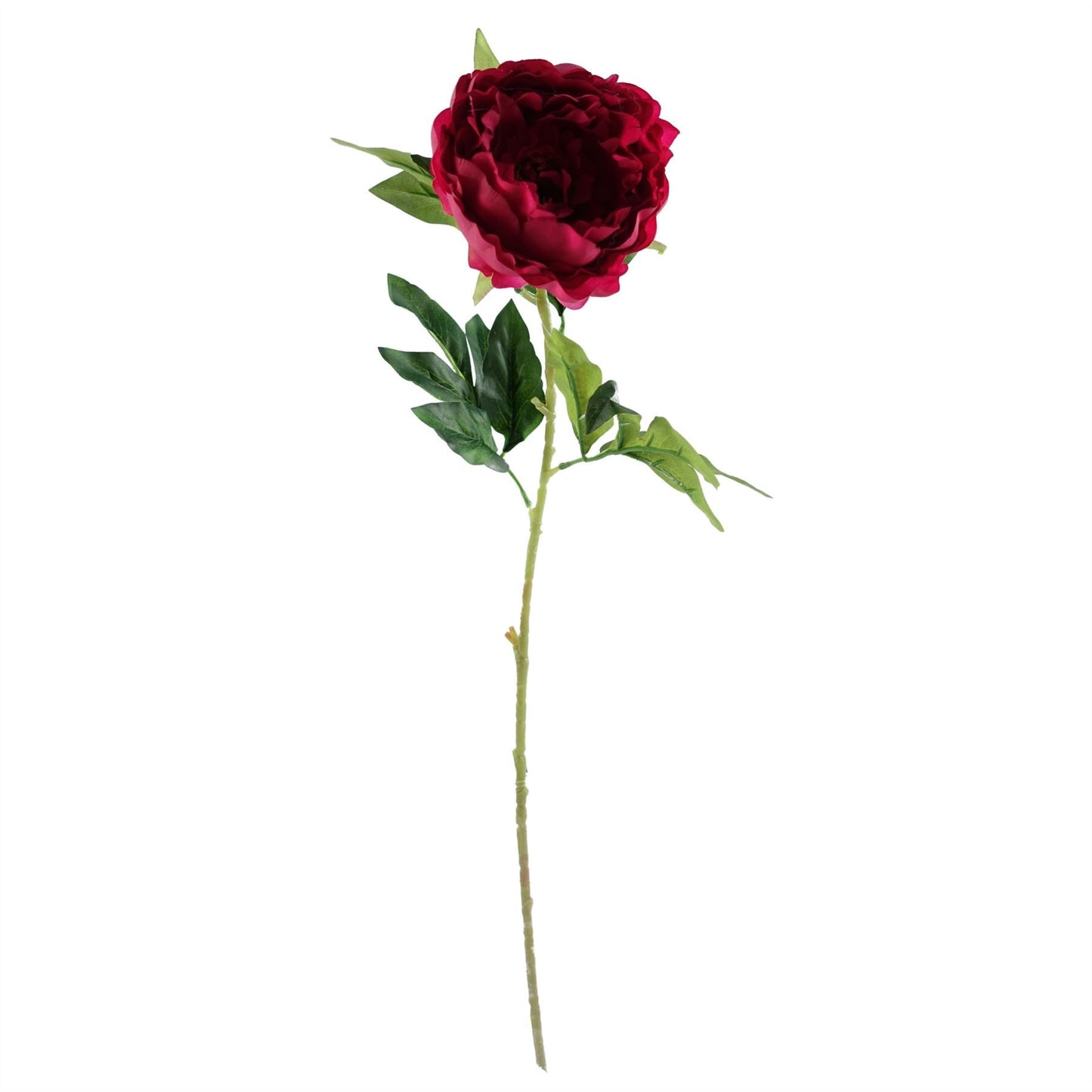 Elevate Your Space: 80cm Bubble Vase with Lush Artificial Peony Arrangement - plants - express.com